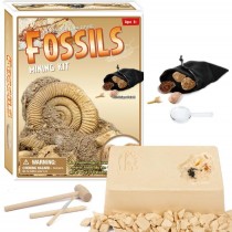 Dinosaur Bone Fossil Dig Kits