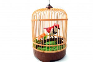 Singing & Chirping Bird In Cage - Realistic Sounds & Movements (Red)