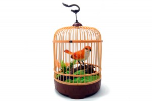 Singing & Chirping Bird In Cage - Realistic Sounds & Movements (Orange)