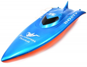 23" Balaenoptera Musculus Racing Boat